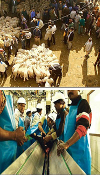 Delhi meat associations threaten strike